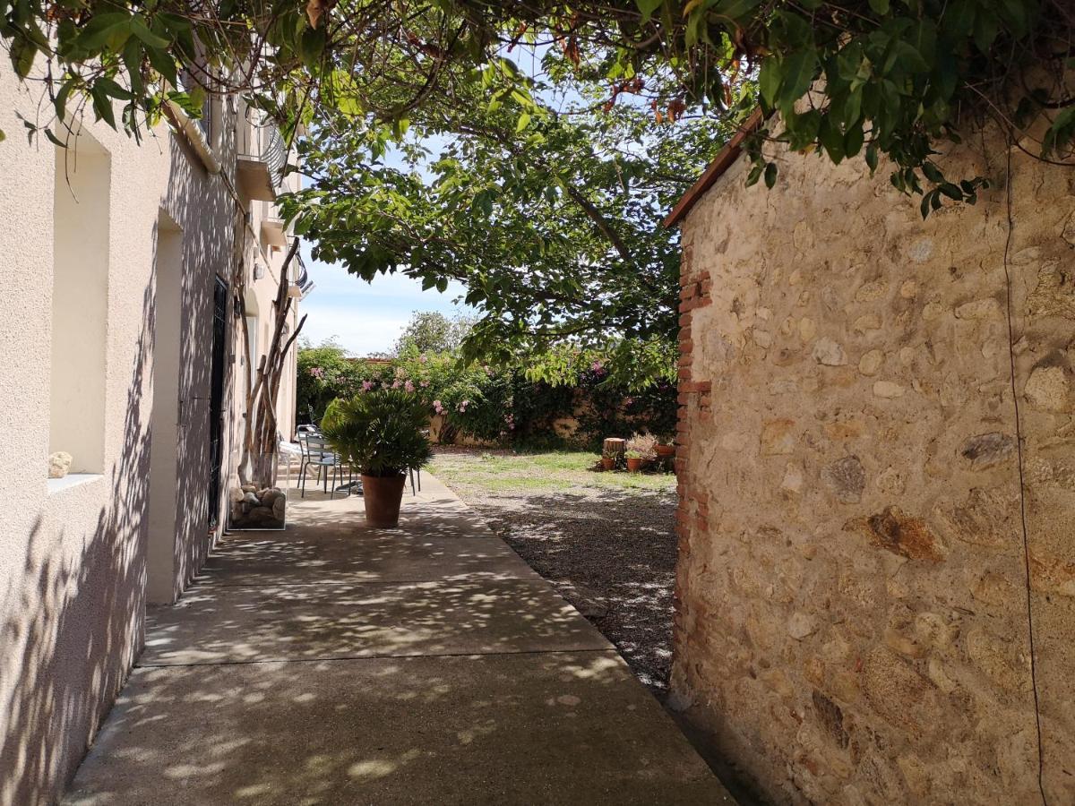 Mas Paret Studio Plein Sud - Parc 1 Ha Au Calme Argelès-sur-Mer Eksteriør billede