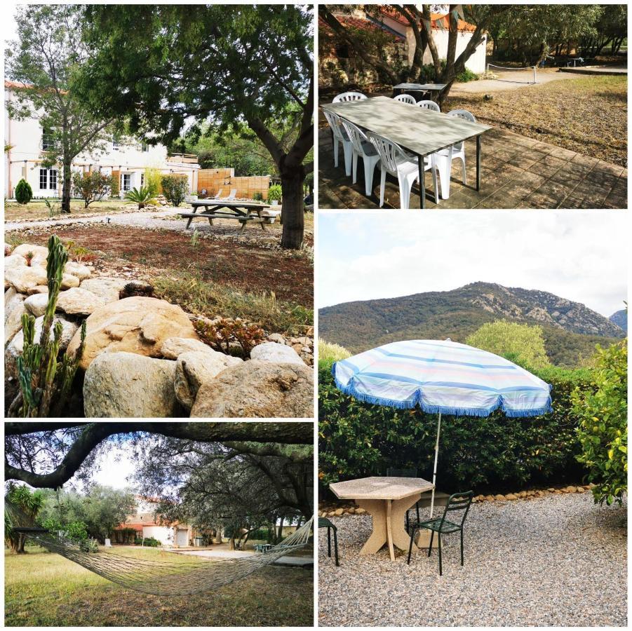 Mas Paret Studio Plein Sud - Parc 1 Ha Au Calme Argelès-sur-Mer Eksteriør billede