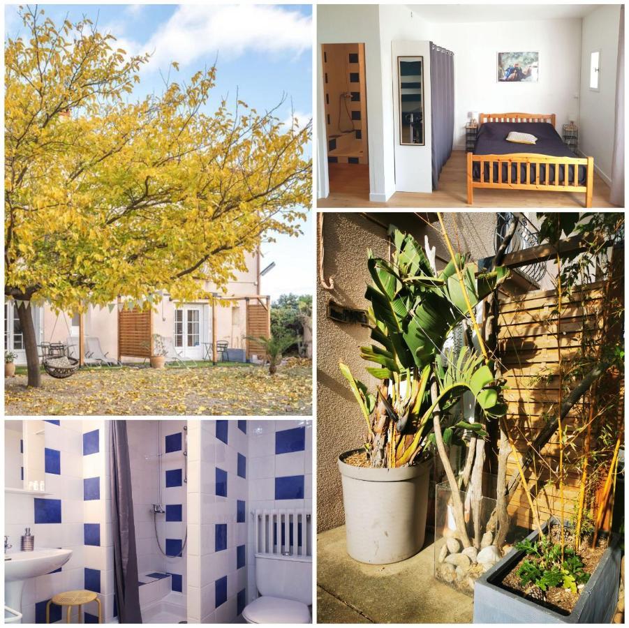 Mas Paret Studio Plein Sud - Parc 1 Ha Au Calme Argelès-sur-Mer Eksteriør billede