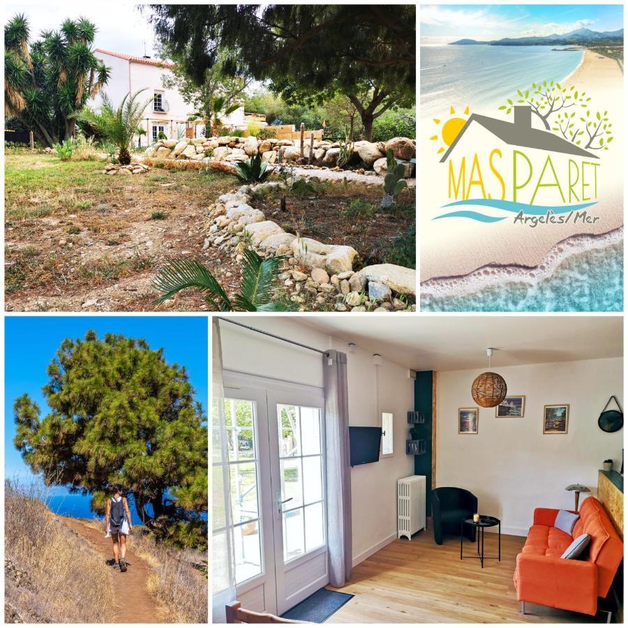 Mas Paret Studio Plein Sud - Parc 1 Ha Au Calme Argelès-sur-Mer Eksteriør billede